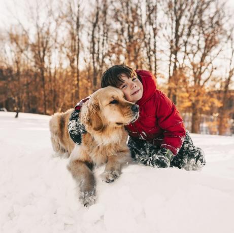 gutt med hund i snøen juletekstquiz