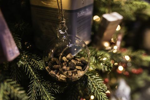 Το πολυτελές ξενοδοχείο Cotswolds, The Lygon Arms, εγκαινιάζει το χριστουγεννιάτικο δέντρο με σκυλάκια