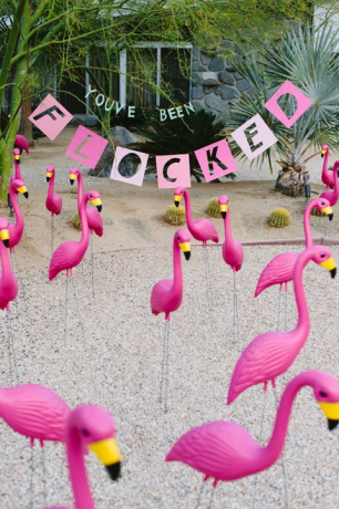 Flamingo flockas