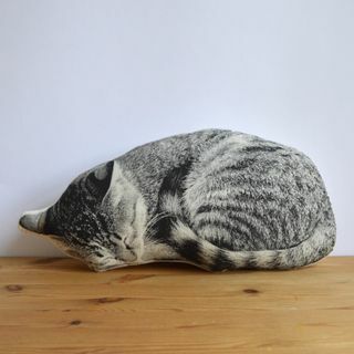 실크스크린 잠자는 고양이 베개