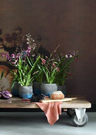 Vaso di fiori, Fiore, Interior design, Lavanda, Viola, Petalo, Artefatto, Vaso, Composizione floreale, Still life fotografia, 