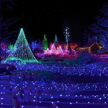 クリスマスの装飾、クリスマスライト、青、光、ランドマーク、照明、クリスマス、紫、木、水、