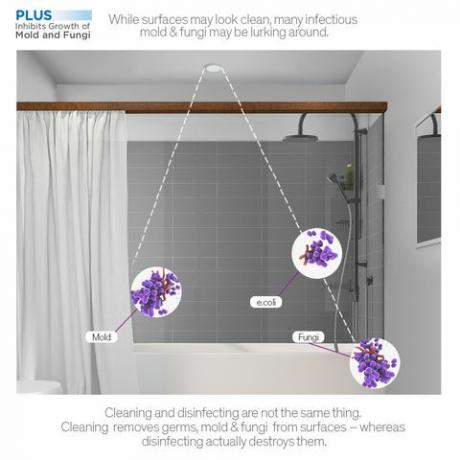 Ellumi Bacteria, Mold, and Fungi Killing Shower Light