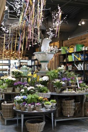 Магазин Terrain в Вестпорте - это, по сути, рай для растений