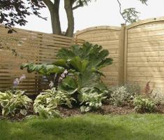 柵のガイド：生け垣、壁、トレリス、パネル
