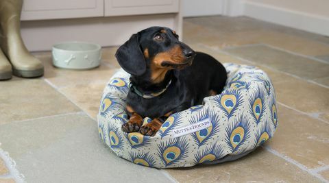 M&H Donut Dog Bed, Peacock Print