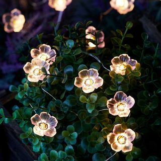 أضواء الجنية زهرة الوردي الشمسية