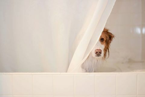 Privatsphäre der Badewanne