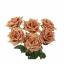'टॉफी' गुलाब इंस्टाग्राम पर सबसे नया फूल है। यहाँ उन्हें कहाँ से खरीदें!