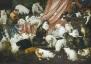 세계 최대 고양이 그림 소더비 경매