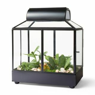 Terrarium plantenbak van ijzer/glas