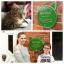 Zelené plakety pro domácí mazlíčky instalované v domácnostech na počest nejúžasnějších domácích mazlíčků ve Velké Británii