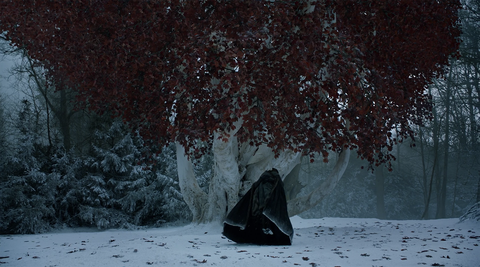 สีดำ ต้นไม้ หิมะ ฤดูหนาว ความมืด น้ำ การแช่แข็ง บรรยากาศ รองเท้า พืช 