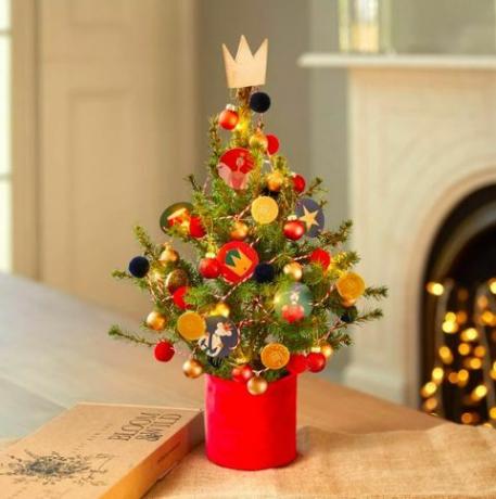 Τα μικροσκοπικά, επαναφυτεύσιμα χριστουγεννιάτικα δέντρα των Bloom & Wild