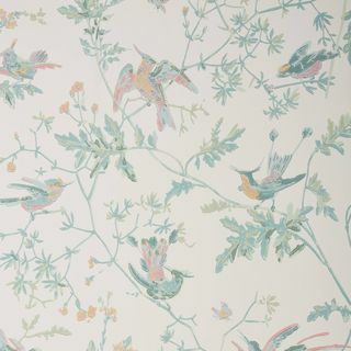 Kolibri Wallpaper