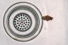 Hur man håller kackerlackor borta från ditt hem