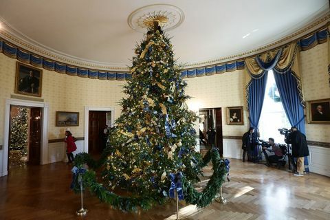 Božićno drvce, drvce, božićni ukras, Božić, imanje, predvorje, soba, arhitektura, božićni ukras, biljka, 