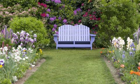 Kolorowa ławka w kwitnącym ogrodzie