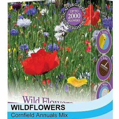Wildblumen 'Cornfield Annuals Mix'