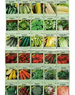 Grönsaksfrön av olika slag
