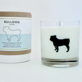 Bulldog kynttilä