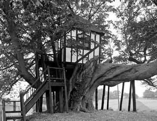 Pusiau medinis namas medyje, Pitchford Hall, Shropshire, 1959 m. Menininkas: GB Mason