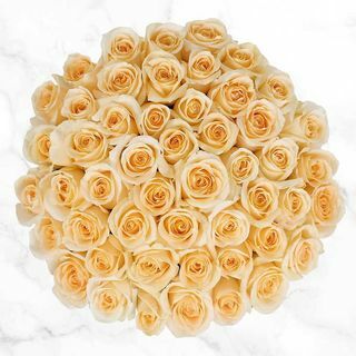 50茎の淡い黄色いバラ