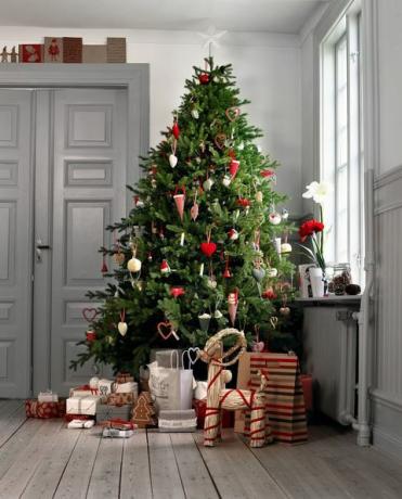 Karácsonyfa, karácsonyi dekoráció, karácsonyi dísz, karácsony, fehér, fa, coloradói lucfenyő, otthon, szobanövény, növény, 