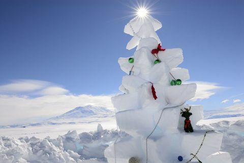 雪のクリスマスツリー