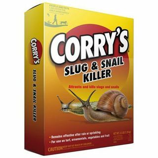 Tueur de limaces et d'escargots de Corry
