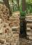 Finde die Katze, die im Holzhaufen versteckt ist