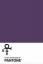 팬톤, 사랑의 상징 #2라는 새로운 '보라색 비' 색상으로 프린스에게 경의를 표하다