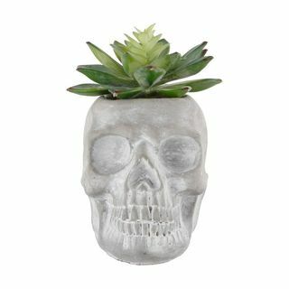 Grey Cement Skull Succulent