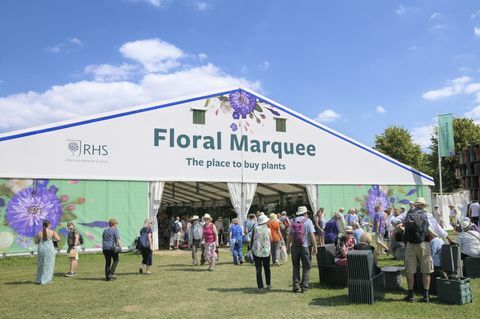 Menschen, die das riesige Blumenfestzelt beim Rhs Hampton Court Palace Garden Festival besuchen, ehemals Hampton Court Flower Show