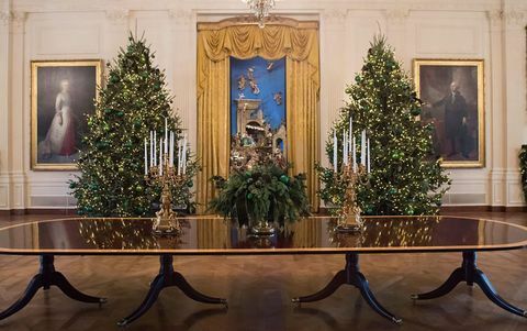 Božična dekoracija, drevo, božič, božično drevo, soba, veja, notranje oblikovanje, notranje oblikovanje, dom, rastlina, 