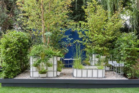 rhs chelsea flower show 2021 container gardens
