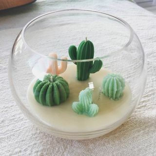 Cactus Terrarium Kaars