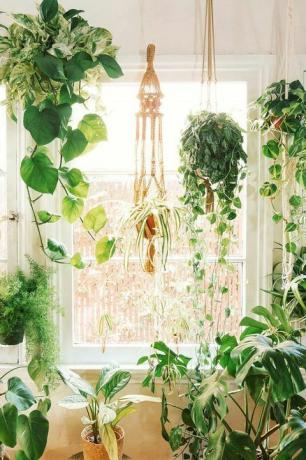 idéer om små växthus