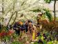 งานแสดงดอกไม้เชลซี 2021: RHS & BBC The One Show's Garden of Hope