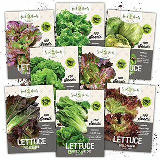 Colección de semillas Lettuce Lovers