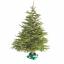 Aldi, İngiltere'de Yetiştirilen Gerçek Noel Ağaçlarını Satıyor — Aldi Teklifleri