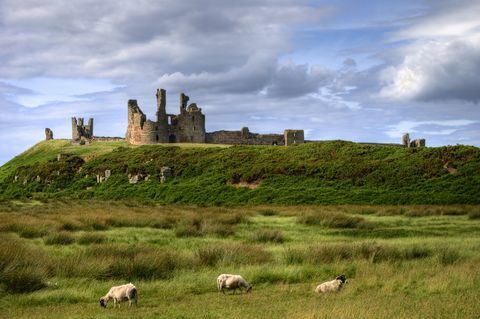 < p> Această plimbare pe coastă începe în satul de pescari Craster, înainte de a vizita ruinele castelului din secolul al XIV-lea. </p>< p>< a href=" https://osmaps.ordnancesurvey.co.uk/route/1672816/OS-Recommended-ITV-100-Favourite-Walks-Dunstanburgh-Castle" target=" _blank" data-tracking-id=" recirc-text-link">< strong data-redactor-tag=" strong" data-verified=" redactor"> Vedeți traseul</strong></a>< br></p>