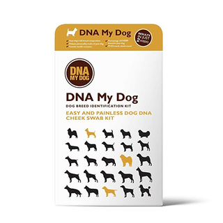 ძაღლის დნმ ტესტის ნაკრები