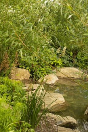 rhs dārzs zaļai nākotnei, ko projektējis Džeimijs Botvorts Hemptonkortas pils pils dārza festivāls 2021