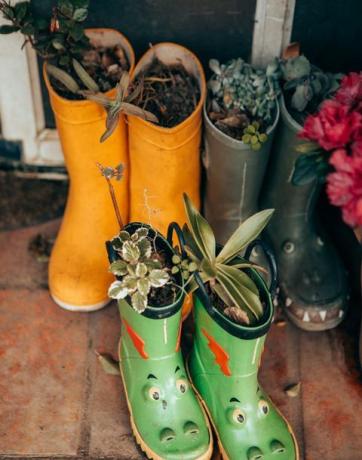 Wellington batai, naudojami kaip augalų vazonai