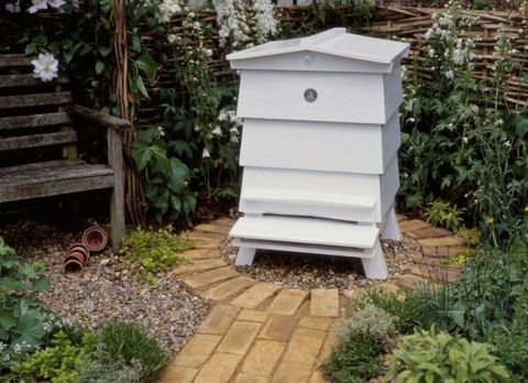 μέλισσες-κυψέλη-κήπος