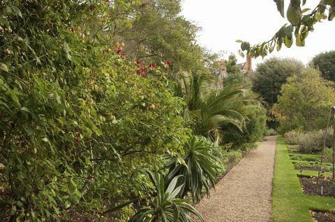 ჩელსი ფიზიკური ბაღი, ლონდონი, ინგლისი