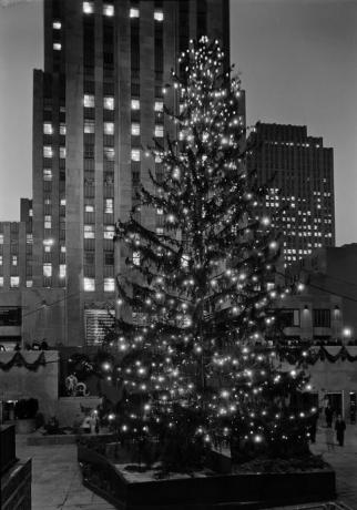 Karácsonyfa, fehér, fa, városi terület, fekete, nagyvárosi terület, város, metropolisz, fekete-fehér, karácsonyi dekoráció, 