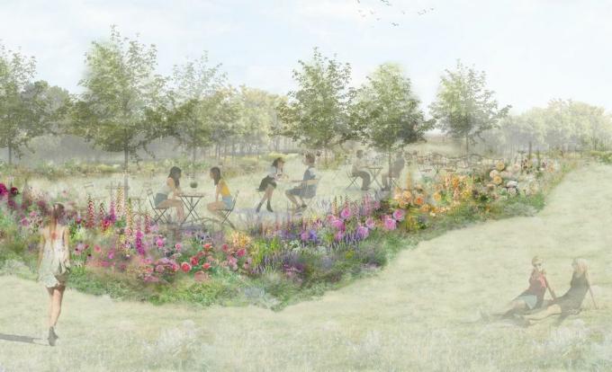ვარდების ჩაის ბაღი, rhs მხატვრული ბაღი, შექმნილი პოლიანა ვილკინსონის მიერ, rhs hampton court სასახლის ბაღის ფესტივალი 2022 წ.