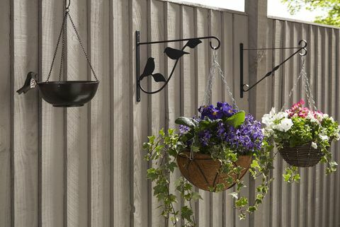 Poundland: Charlie Dimmock Hanging Flower Basket